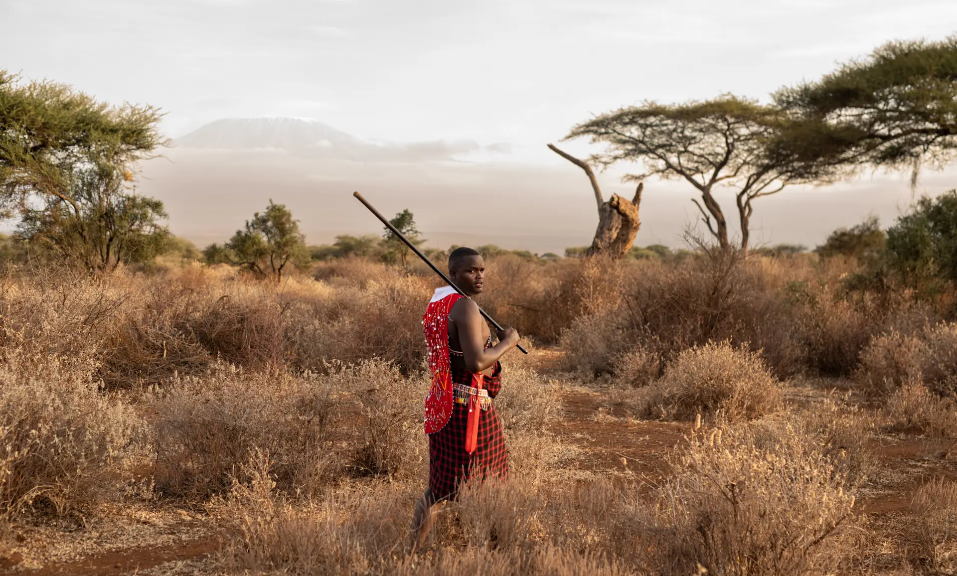 Live Availability Banner