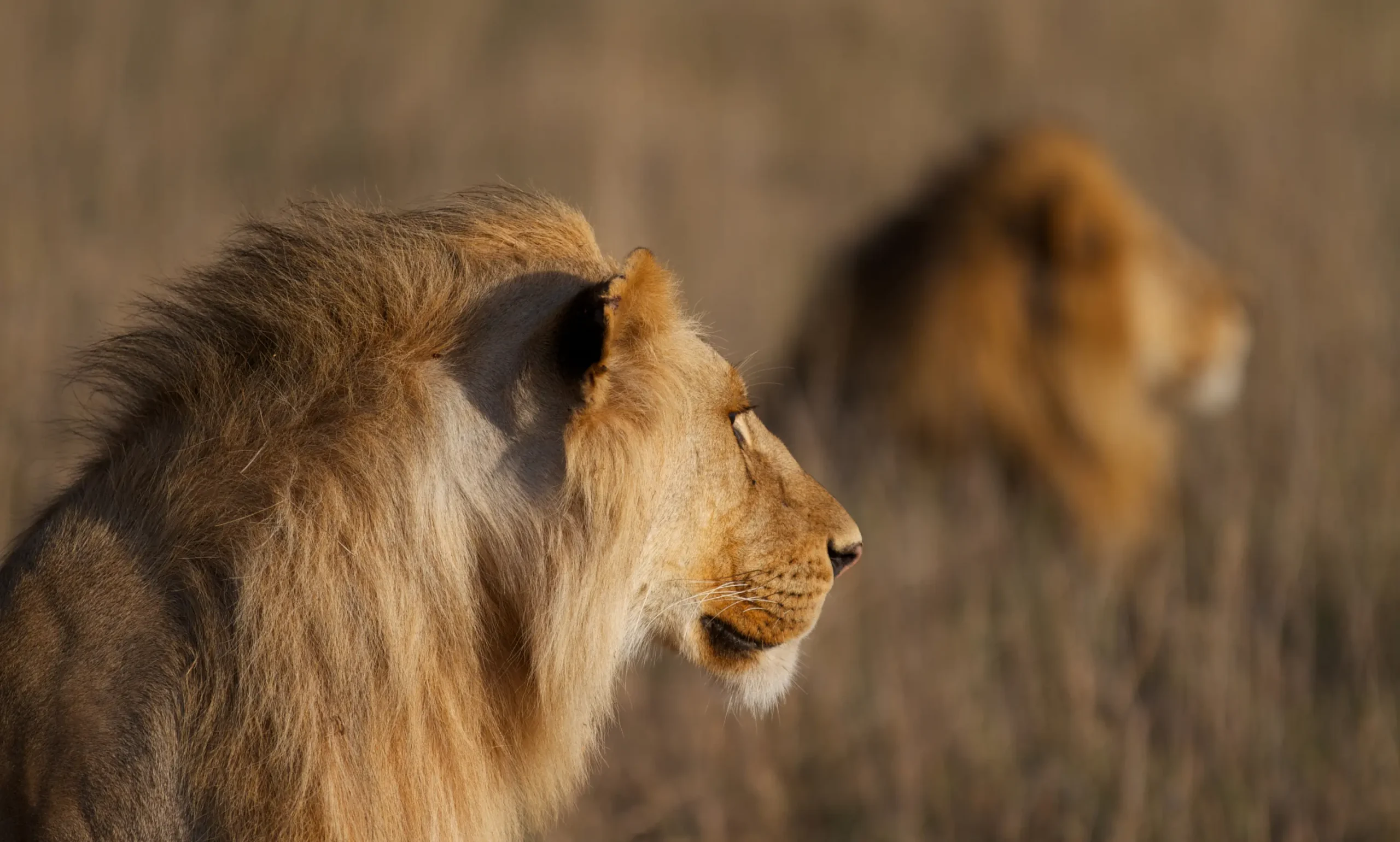 Privacy Policy Banner